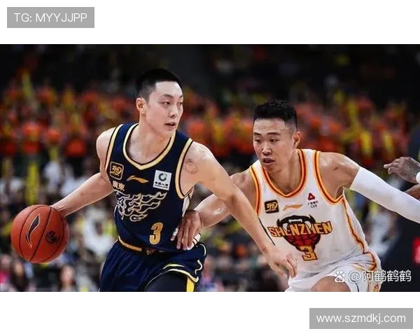 每支CBA球队有多少球员？阵容结构分析