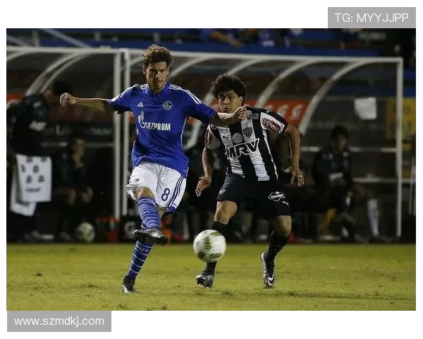 哪些球队值得期待回归德甲?强队重建之路分析 哪些球队值得期待回归德甲?强队重建之路分析