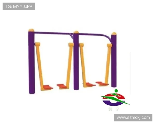 铝制健身器材的优缺点全面解析