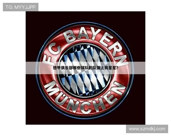 德甲有“星星”标识的球队有哪些？星星数量代表含义解析