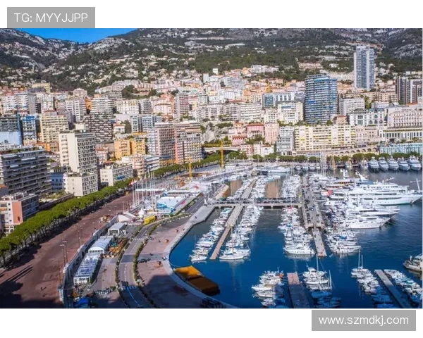 法甲各俱乐部管理结构与运营模式研究