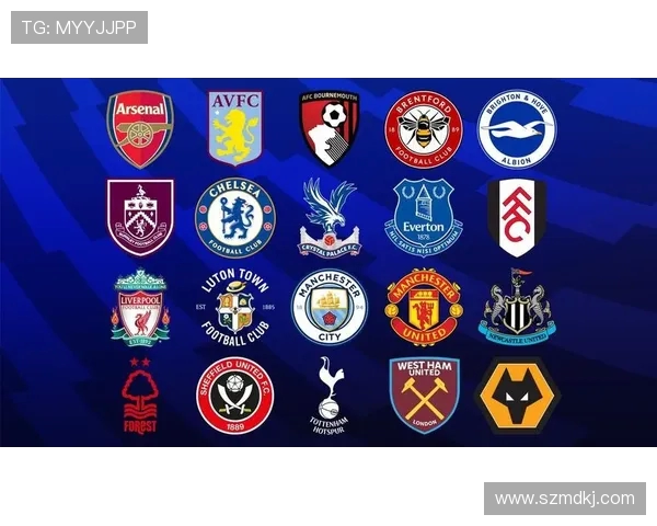 英超球队策略：英超球队的战略布局与发展计划